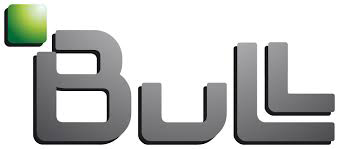 Bull